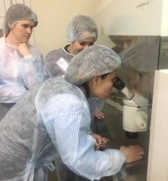 Семинар эмбрио Ростов в текст1.jpg